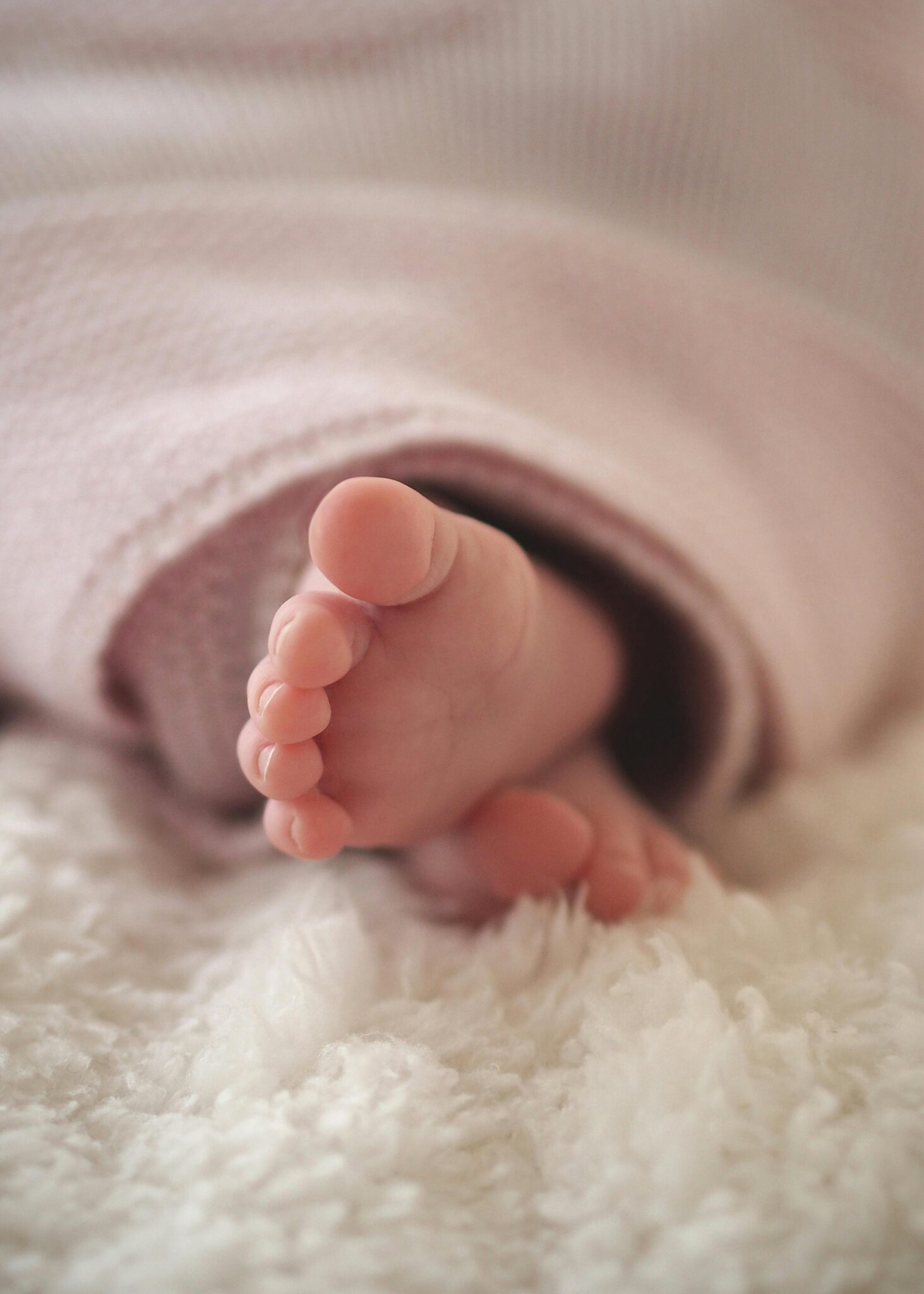 A tender close-up of newborn baby feet wrapped in a soft blanket, capturing innocence and warmth.